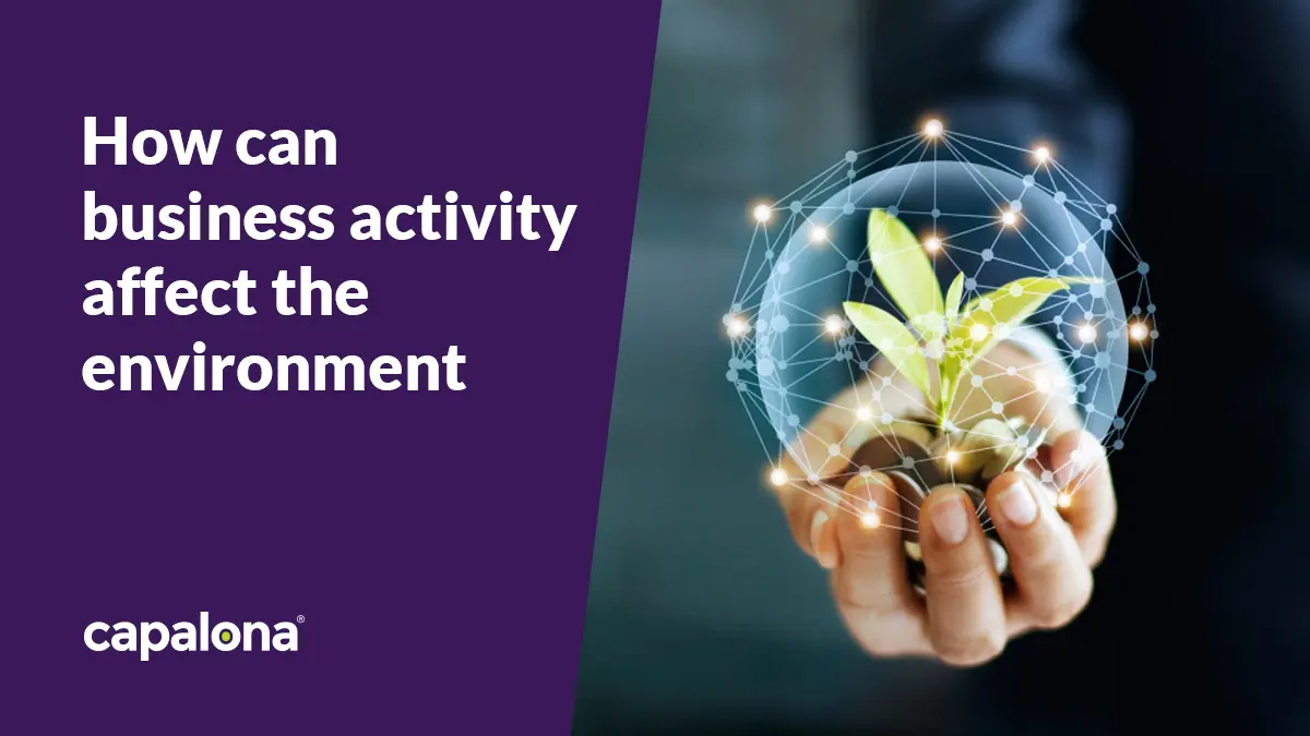 How can business activity affect the environment?