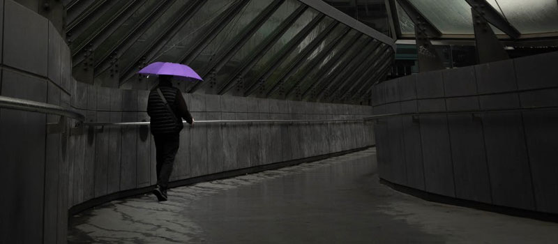 Top 7 personal guarantee insurance 2 Protect Yourself with Personal Guarantee Insurance