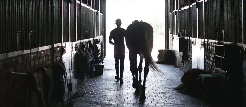 Equestrian business owner walking with a horse out of stable