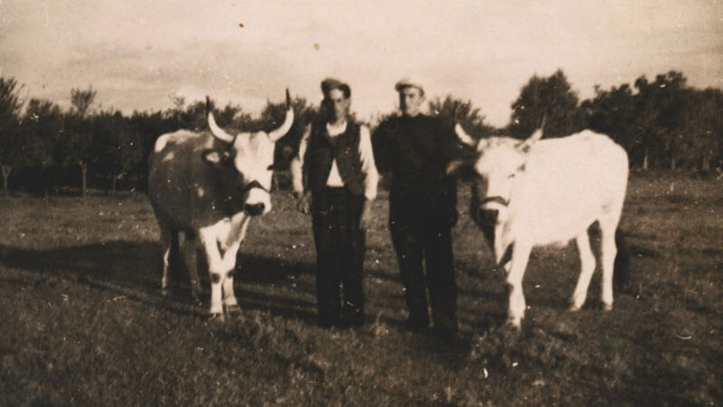 How Farmers Influenced How We Use Credit Today