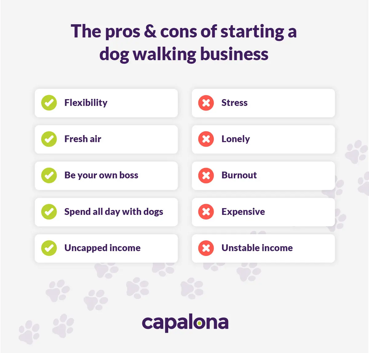 The pros and cons of starting a dog walking business