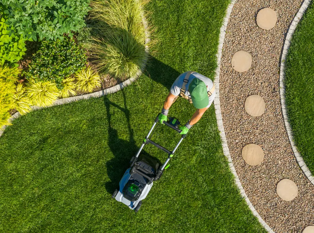 Small landscaping gardening business