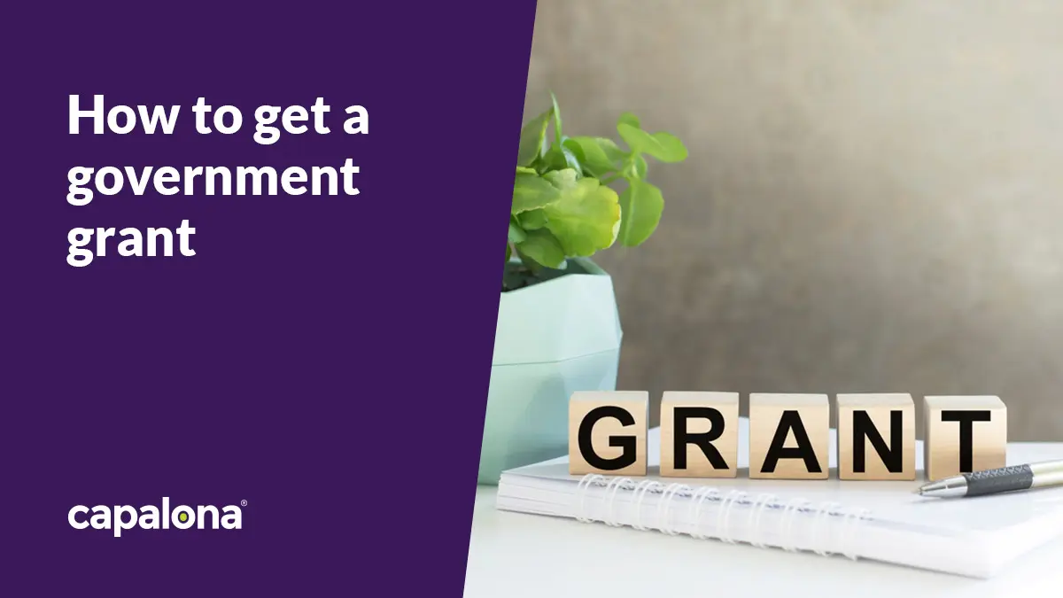 How to get a government grant image