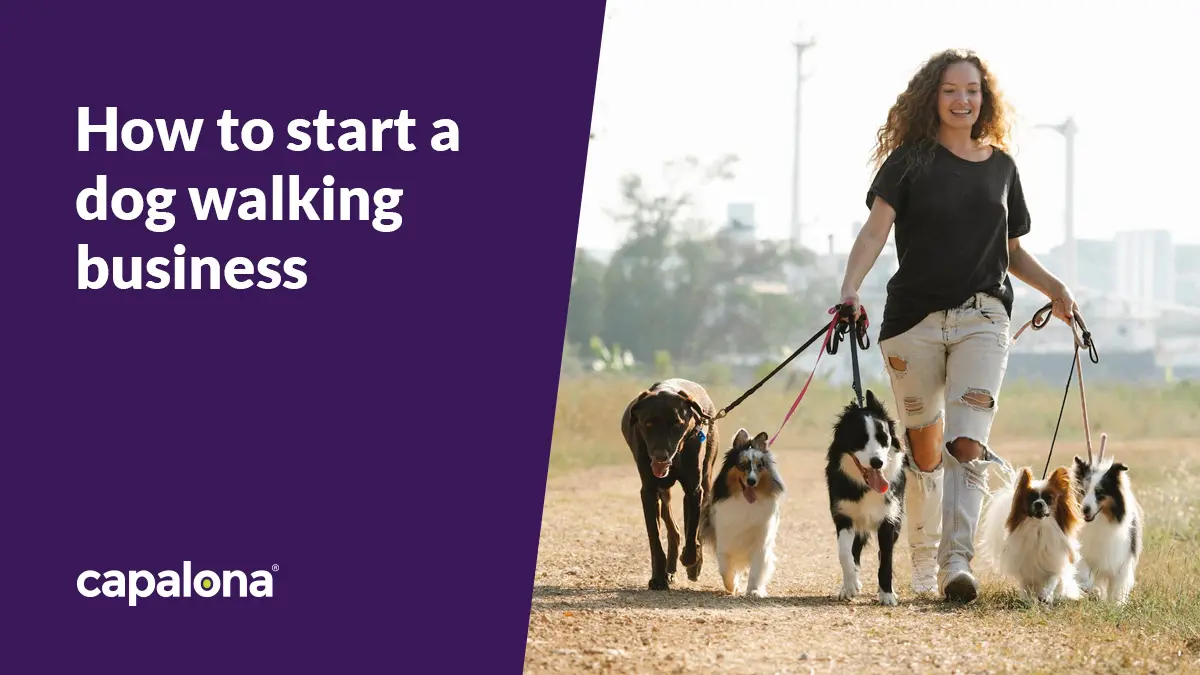 How to start a successful dog walking business